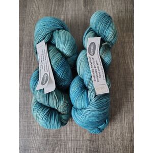 Dream in Color Perfectly Posh Fingering Yarn 2 Skeins Hand Dyed Discontinued
